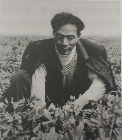 焦裕禄发现花生适合在兰考种植,因此大力推广。这是他在花生地拔草。